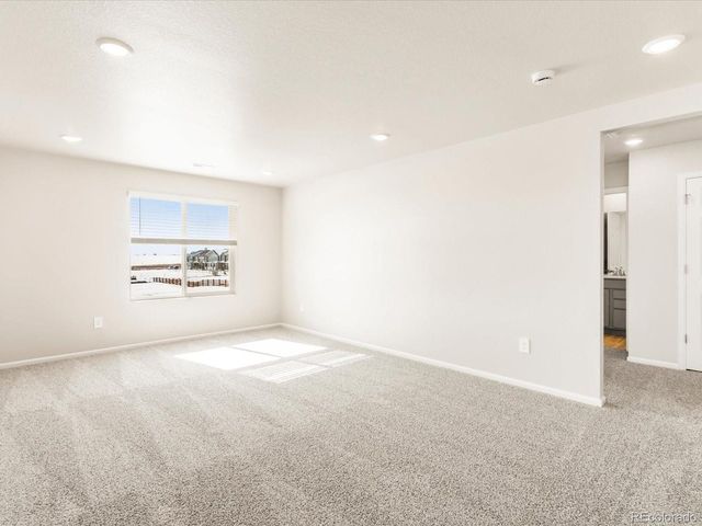 4683 Rabbitbrush St, Johnstown, CO 80534