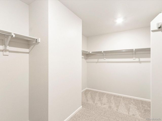 4683 Rabbitbrush St, Johnstown, CO 80534