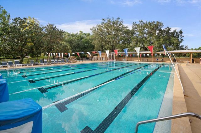 3302 CYPRESS LANDING DRIVE, Valrico, FL 33596