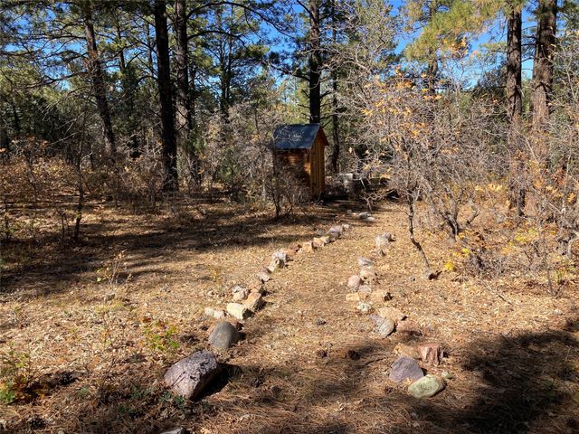 139D County Road 342, Chama, NM 87520