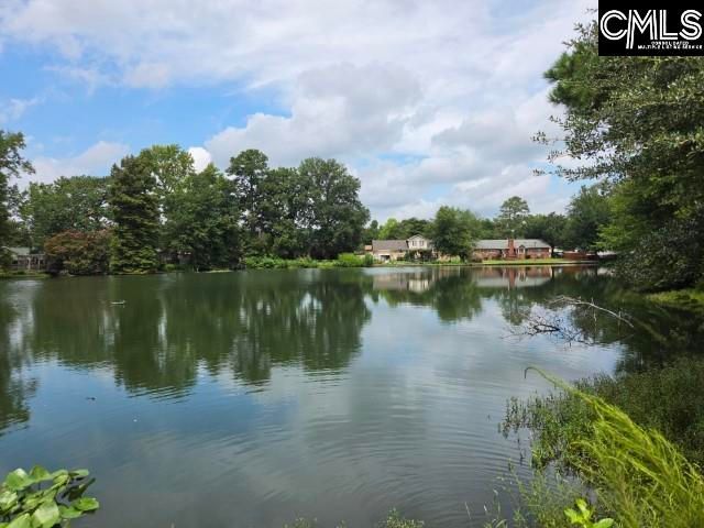 302 Shadowfield Drive, West Columbia, SC 29169