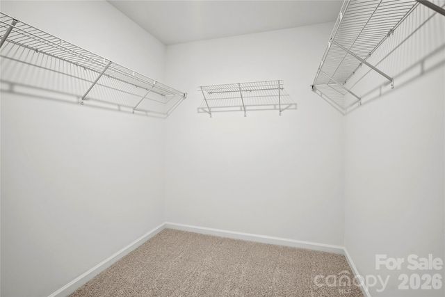 14032 Steller Street, Charlotte, NC 28269