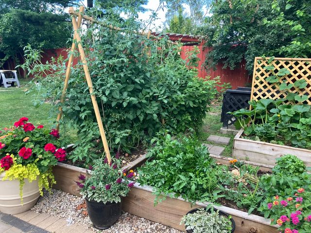 3 Hobson Court, Woodridge, IL 60517