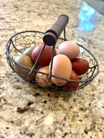 3 Hobson Court, Woodridge, IL 60517