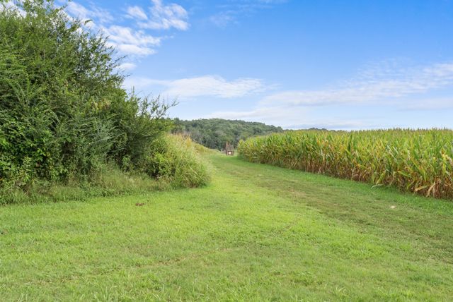 2942 Newman Rd, Ardmore, TN 38449