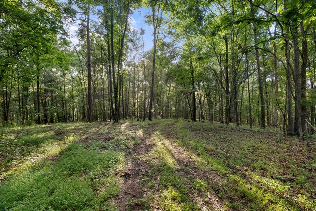 2942 Newman Rd, Ardmore, TN 38449