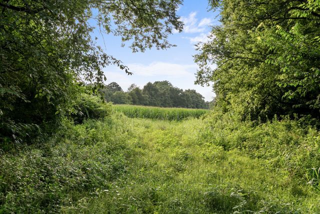 2942 Newman Rd, Ardmore, TN 38449