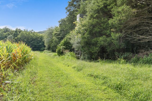 2942 Newman Rd, Ardmore, TN 38449