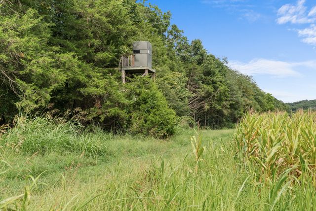 2942 Newman Rd, Ardmore, TN 38449