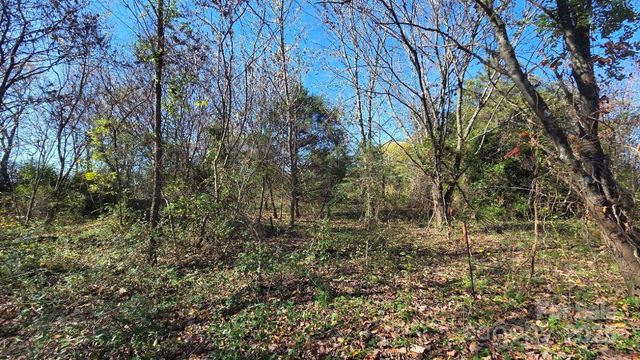 00000 Reepsville Road, Vale, NC 28168