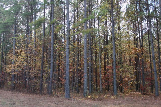 465 Compass Drive, Jasper, TN 37347
