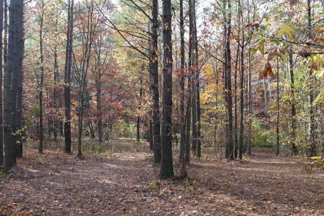 465 Compass Drive, Jasper, TN 37347