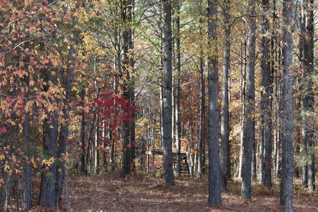 465 Compass Drive, Jasper, TN 37347