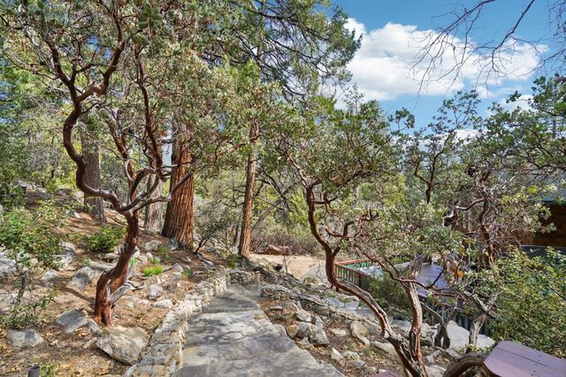 25361 Skyline Way, Idyllwild, CA 92549