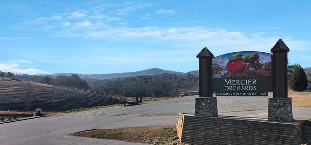 196 Grayson Point, Blue Ridge, GA 30153