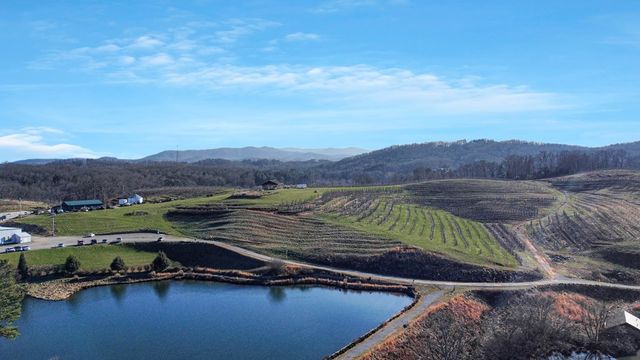 196 Grayson Point, Blue Ridge, GA 30153