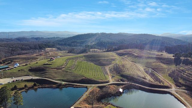 196 Grayson Point, Blue Ridge, GA 30153