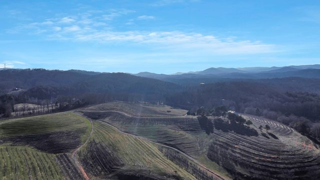 196 Grayson Point, Blue Ridge, GA 30153