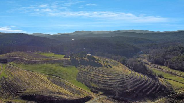 196 Grayson Point, Blue Ridge, GA 30153