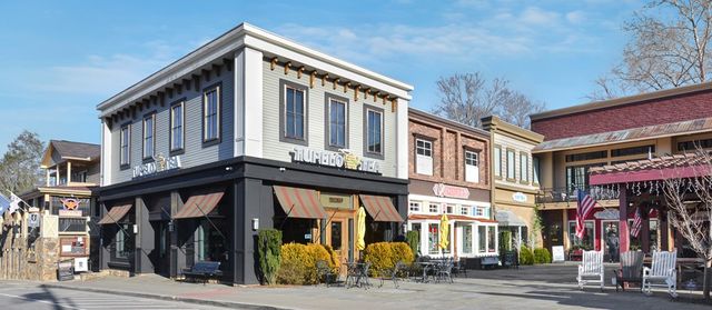 196 Grayson Point, Blue Ridge, GA 30153