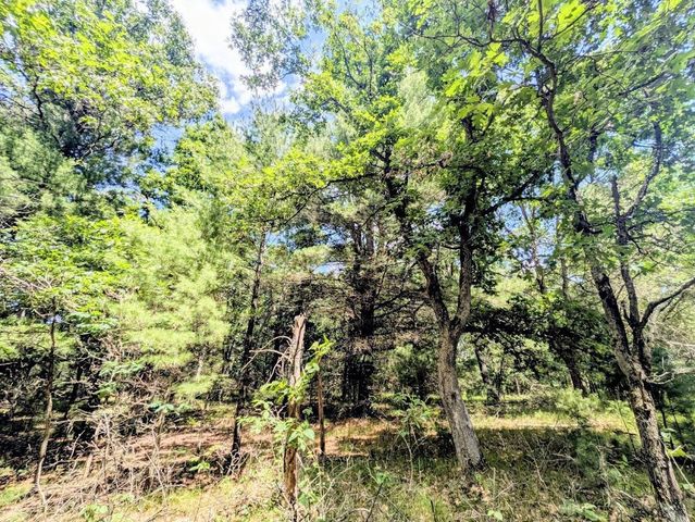 859 Cypress Avenue, Friendship, WI 53934