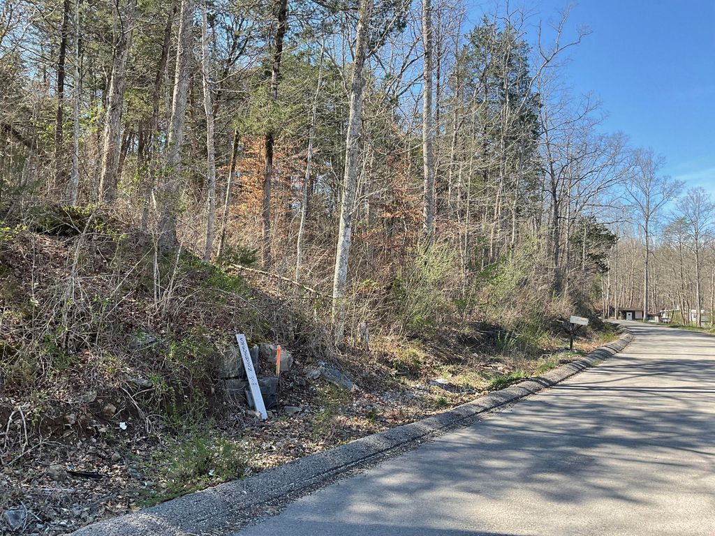 04 Caney Branch Spur Road 04, Burnside, KY 41519