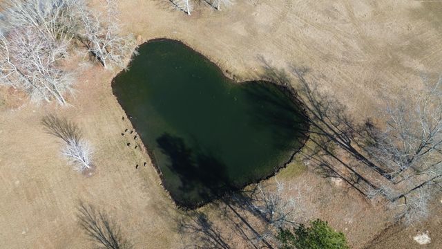 131 Canterhill Lane, Moncks Corner, SC 29461