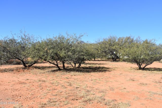 8680 E Mustang Trail, Hereford, AZ 85615