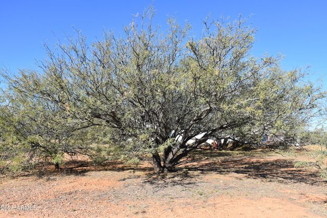 8680 E Mustang Trail, Hereford, AZ 85615