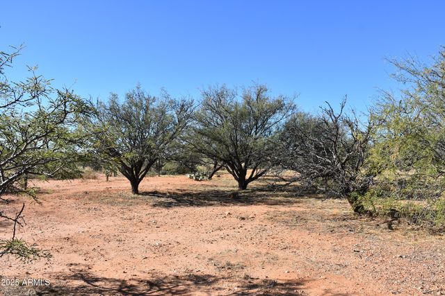 8680 E Mustang Trail, Hereford, AZ 85615