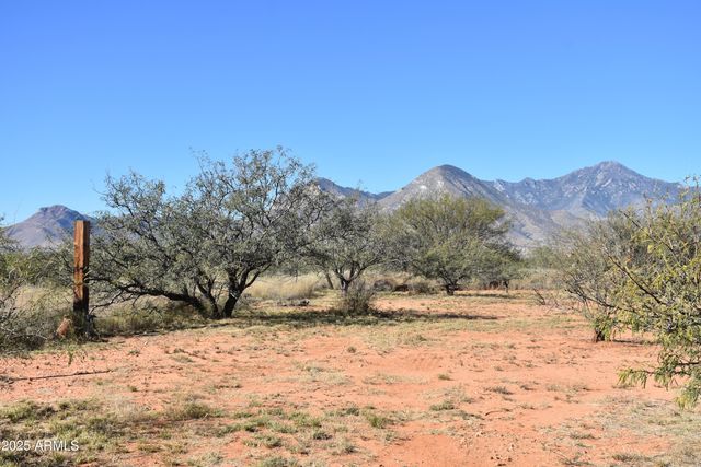 8680 E Mustang Trail, Hereford, AZ 85615