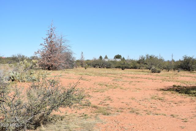 8680 E Mustang Trail, Hereford, AZ 85615