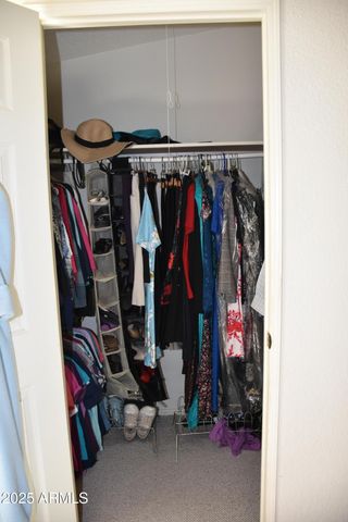 8680 E Mustang Trail, Hereford, AZ 85615