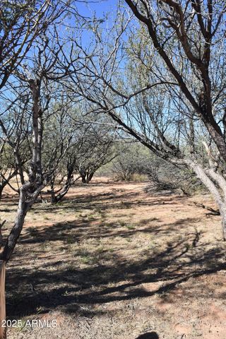 8680 E Mustang Trail, Hereford, AZ 85615