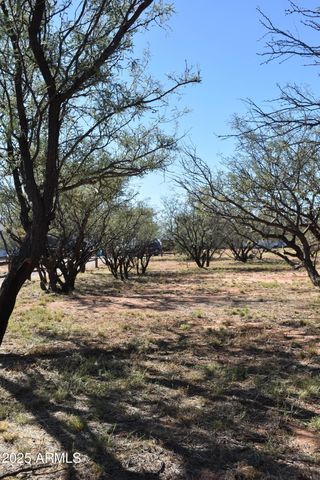 8680 E Mustang Trail, Hereford, AZ 85615