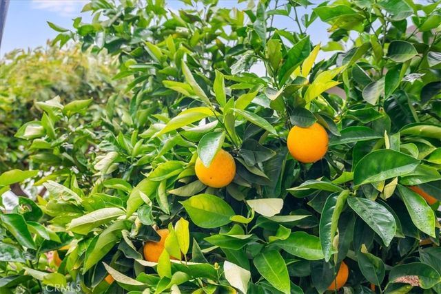 3425 Quail Meadows, Santa Maria, CA 93455