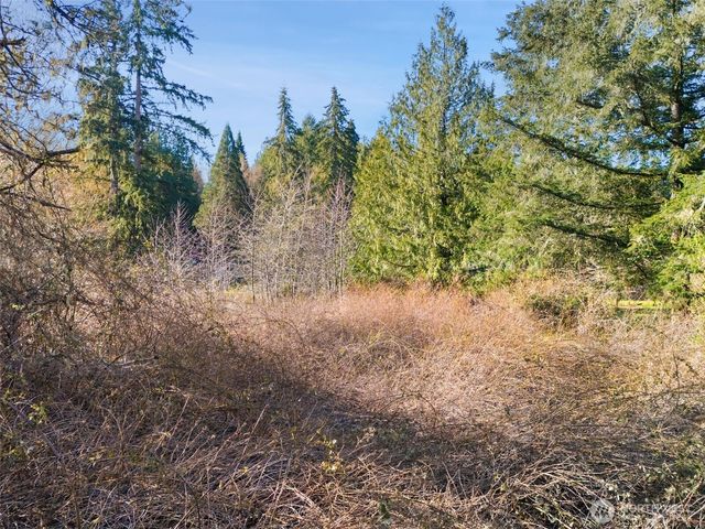 0 E Sherwood Creek Road, Allyn, WA 98524