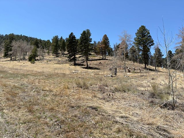 640 County Road 356, Westcliffe, CO 81252