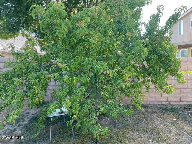 3303 Arious Way, Lancaster, CA 93536