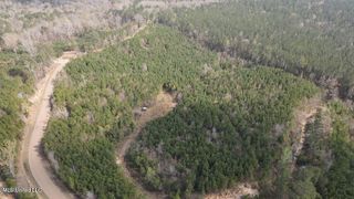 Honeysucker Road, Camden, MS 39045