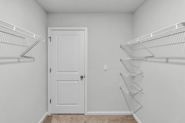 303 Black Birch Drive, Summerville, SC 29486