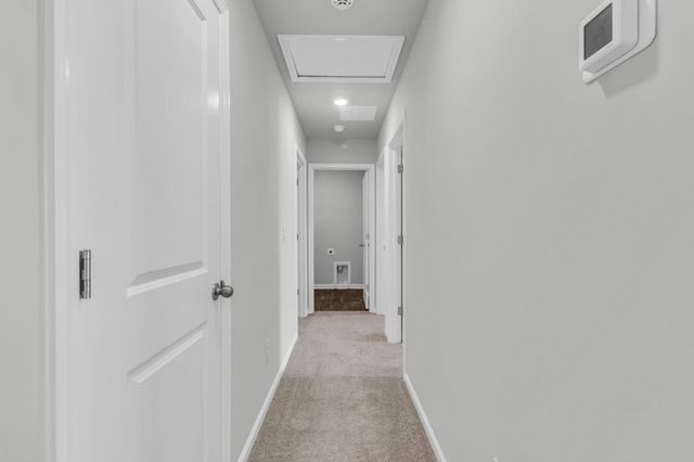 303 Black Birch Drive, Summerville, SC 29486