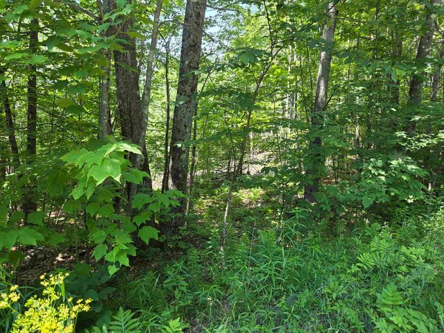 X Methodist Hill Road, Enfield, NH 03748
