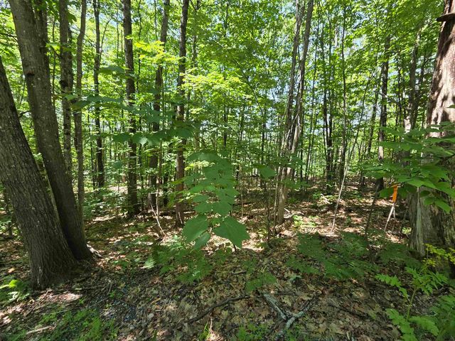 X Methodist Hill Road, Enfield, NH 03748