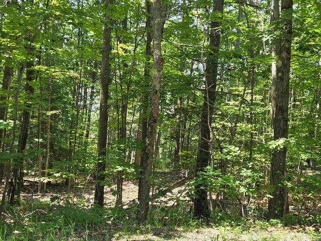 X Methodist Hill Road, Enfield, NH 03748