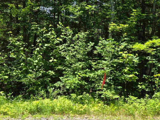 X Methodist Hill Road, Enfield, NH 03748