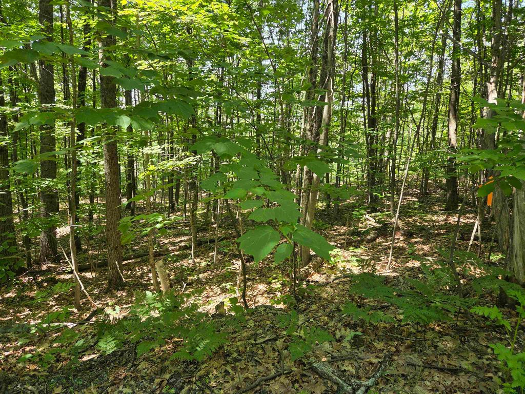 X Methodist Hill Road, Enfield, NH 03748