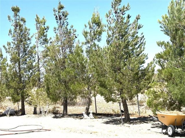 11120 Colt Avenue, Lucerne Valley, CA 92356