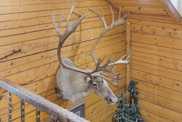 271 Oakridge Road 1, Branson, MO 65616