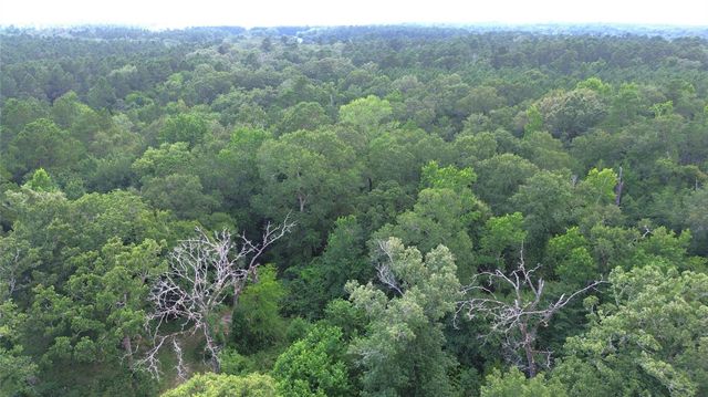 TBD County Road 4030, Crockett, TX 75835